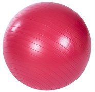 Гимнастический мяч PROFI-FIT, диаметр 55 см, антивзрыв арт-58877a85-c79e-11e4-93f1-001e678bf5a5