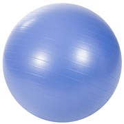 Гимнастический мяч PROFI-FIT, диаметр 65 см, антивзрыв арт-58877a87-c79e-11e4-93f1-001e678bf5a5